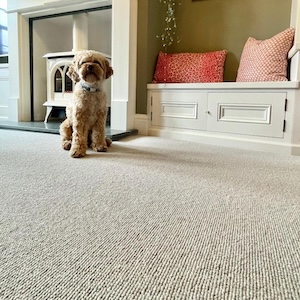 luxury carpets